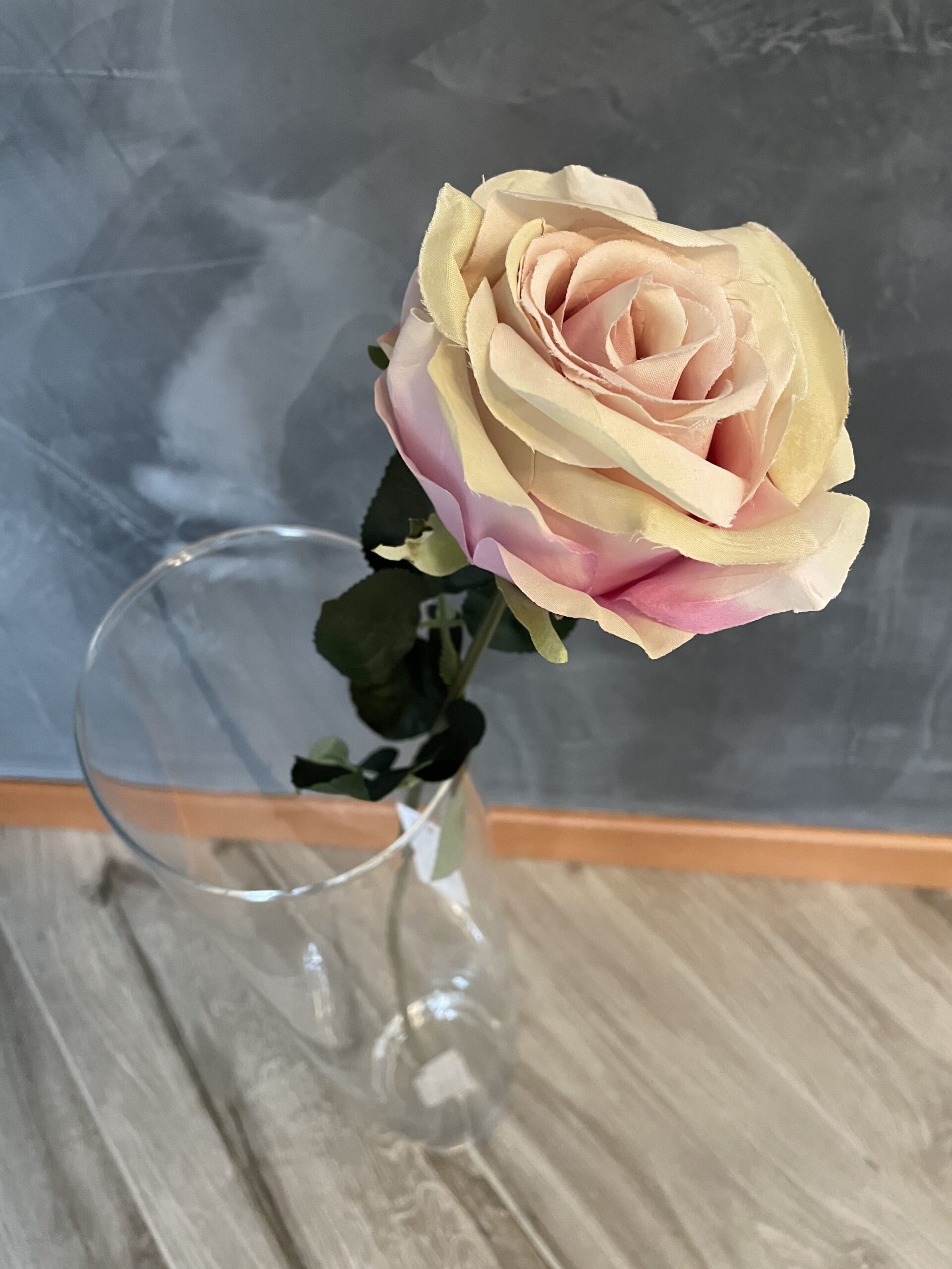 Rosa antico