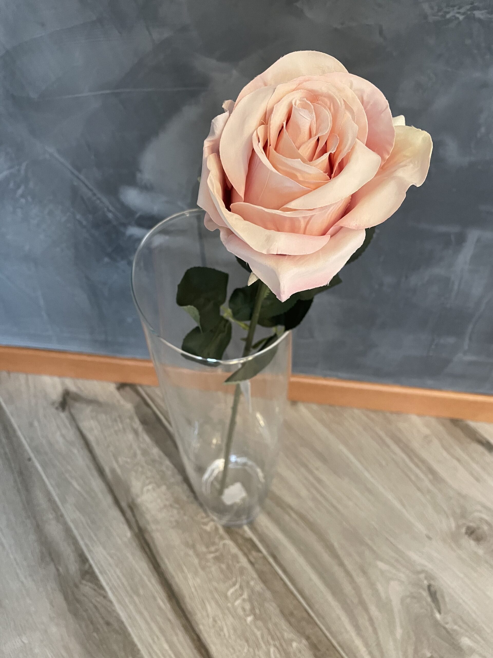 rosa rosa
