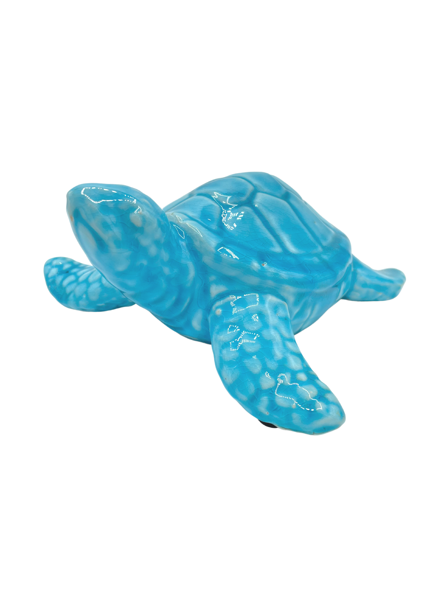 Tartaruga azzurra