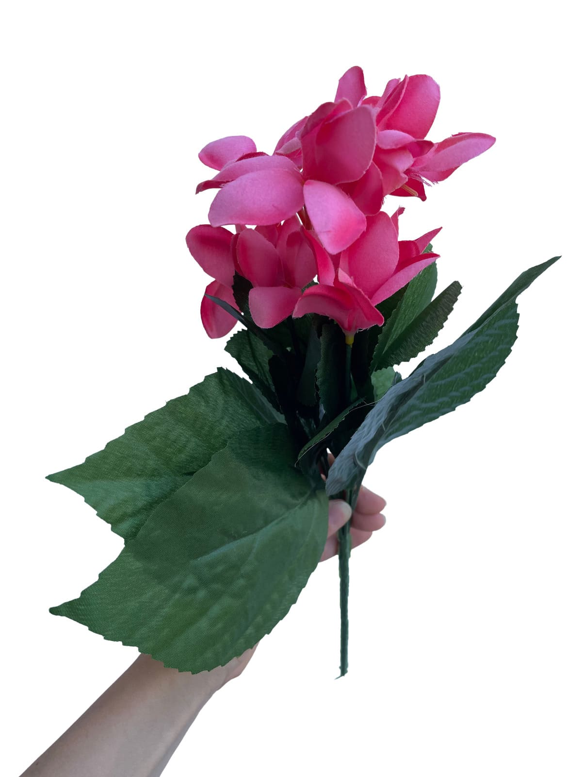 mazzo fiori rosa