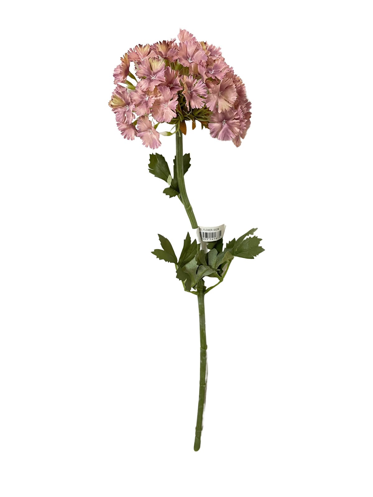 Ramo dianthus 60 cm rosa