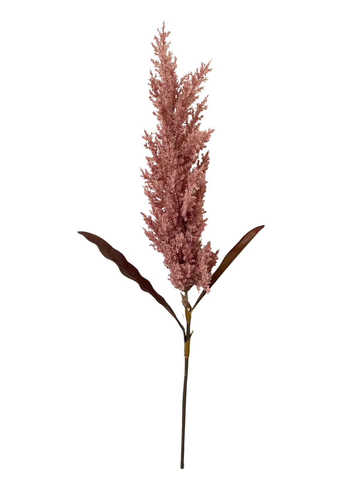 Sorghum 90 cm rosa