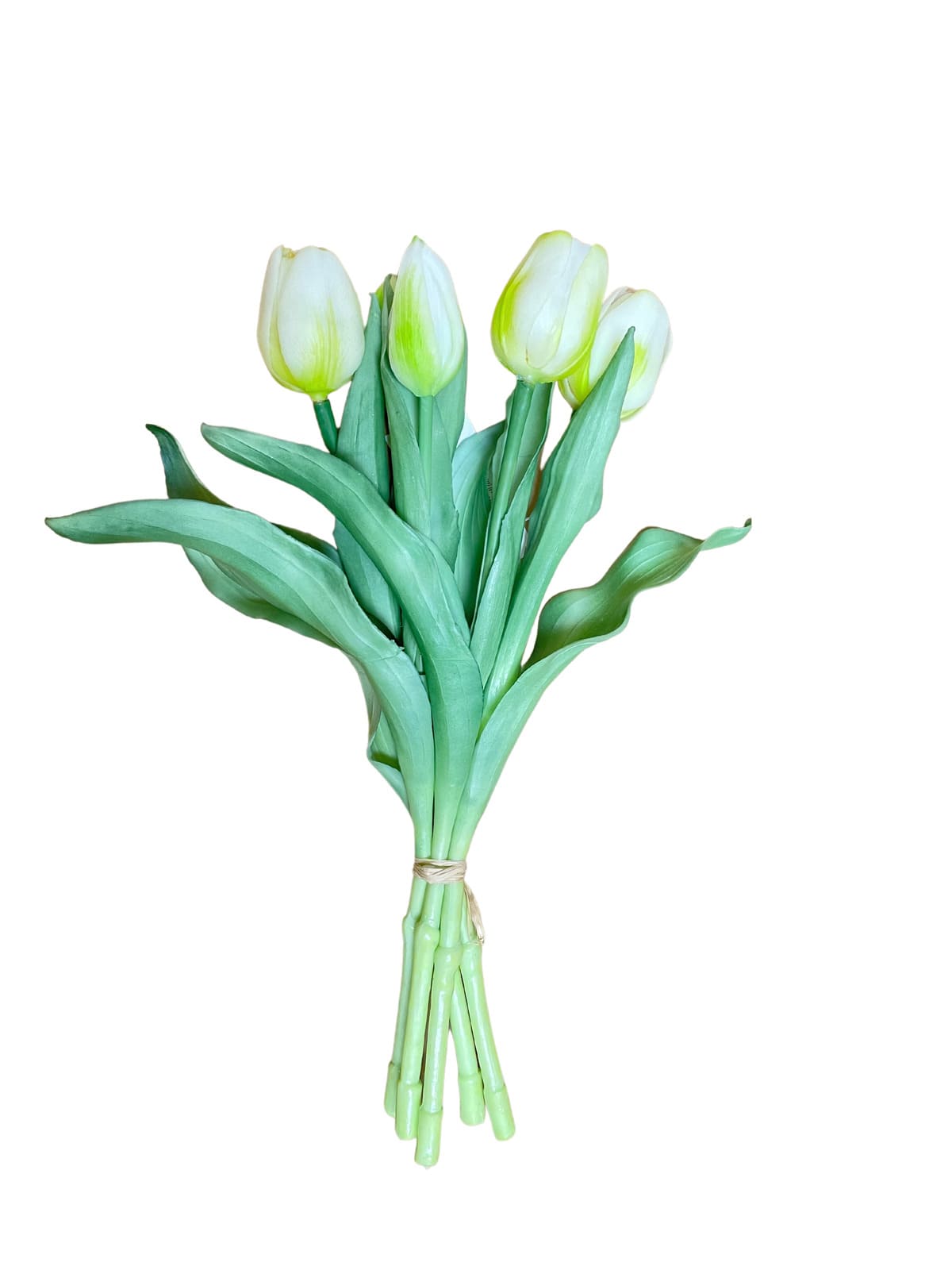 Mazzo 5 tulipani bianchi
