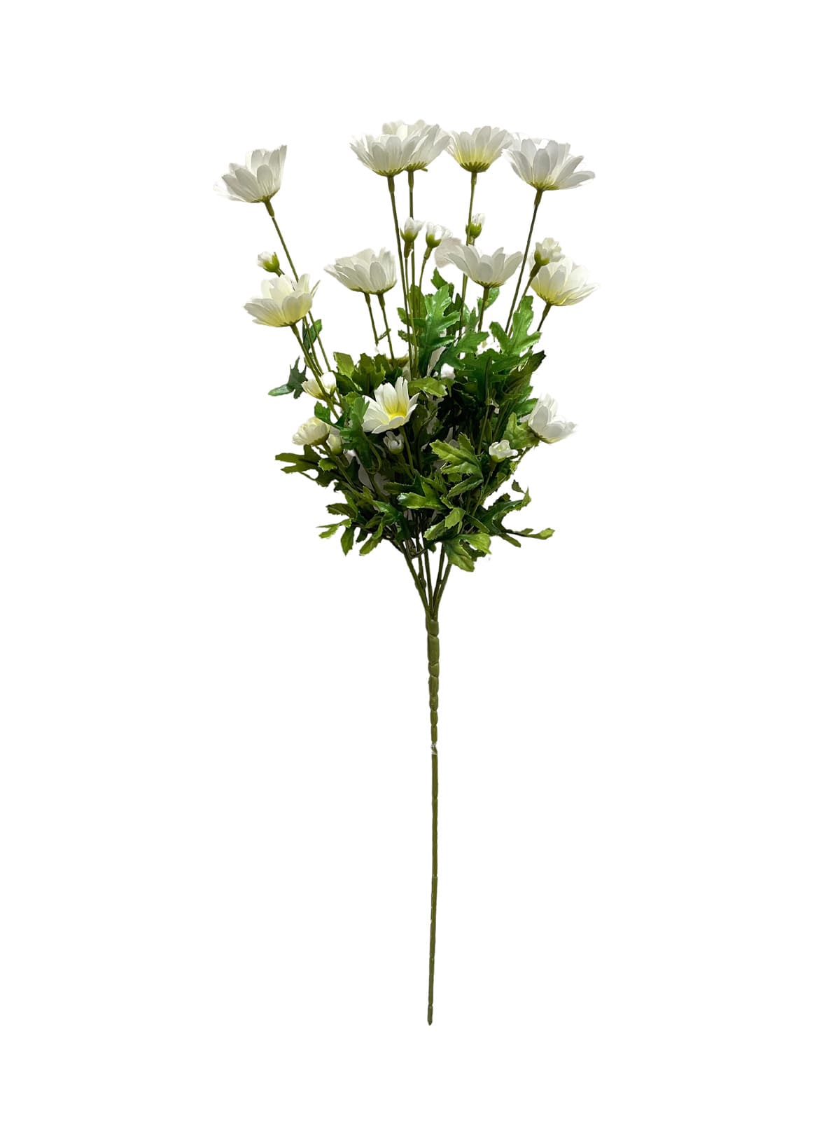 Mazzo margherite bianche