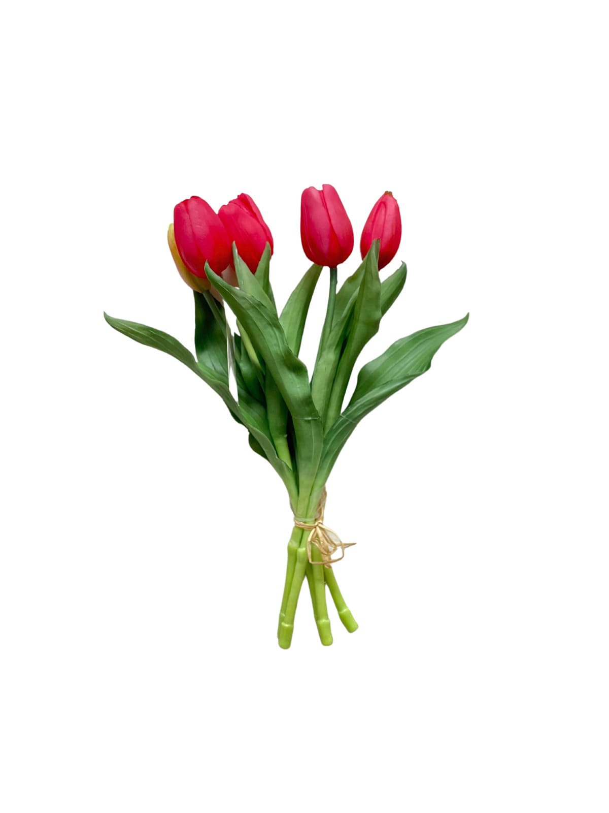 Mazzo 5 tulipani fuxia