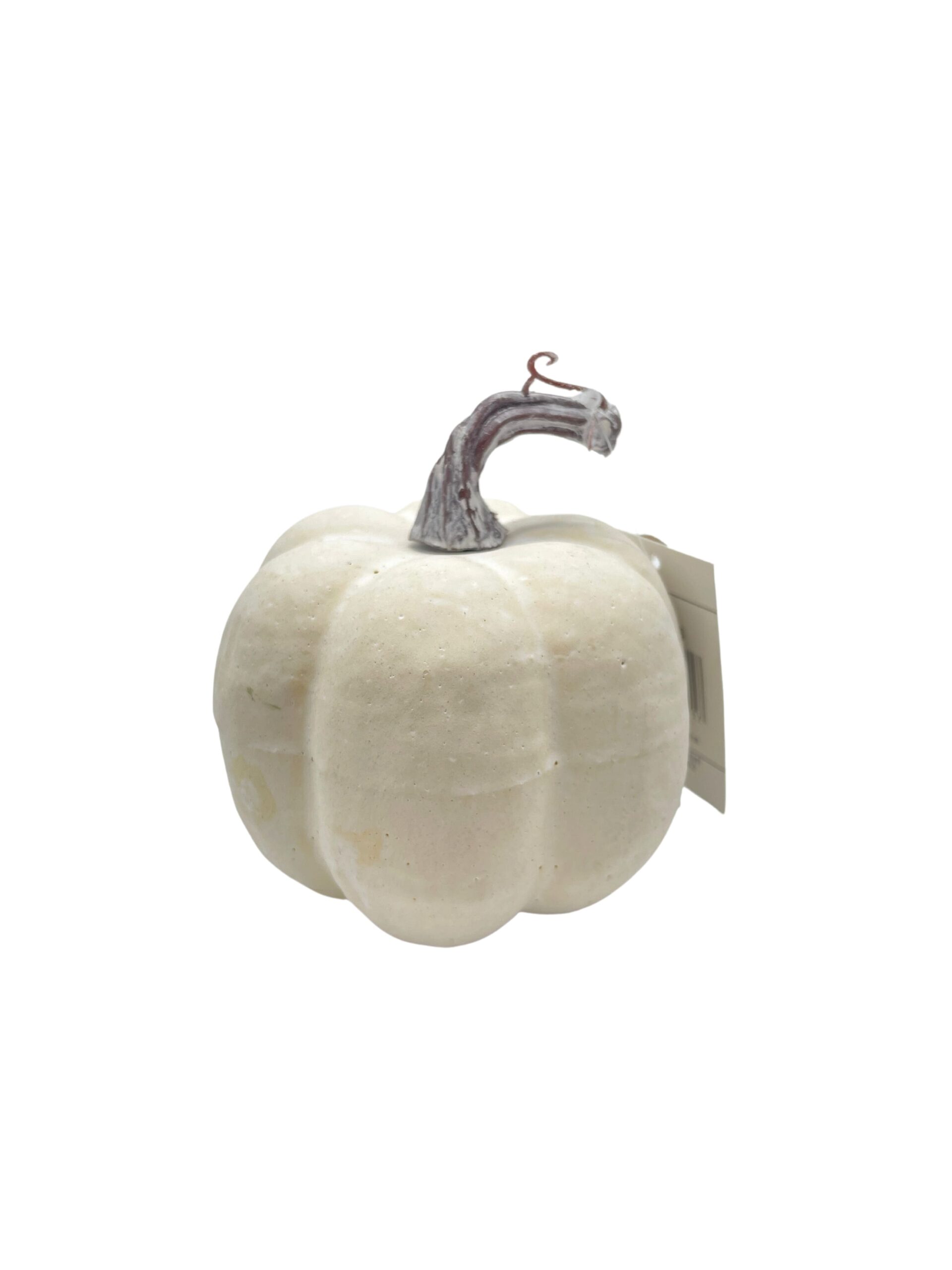zucca timea
