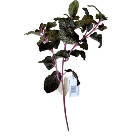ramo menta verde