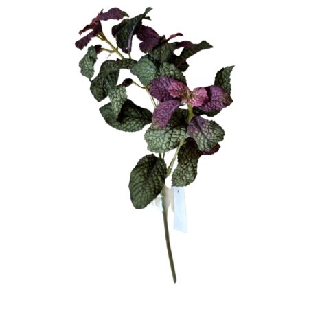 menta verde e viola