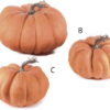 zucca arancione decorativa