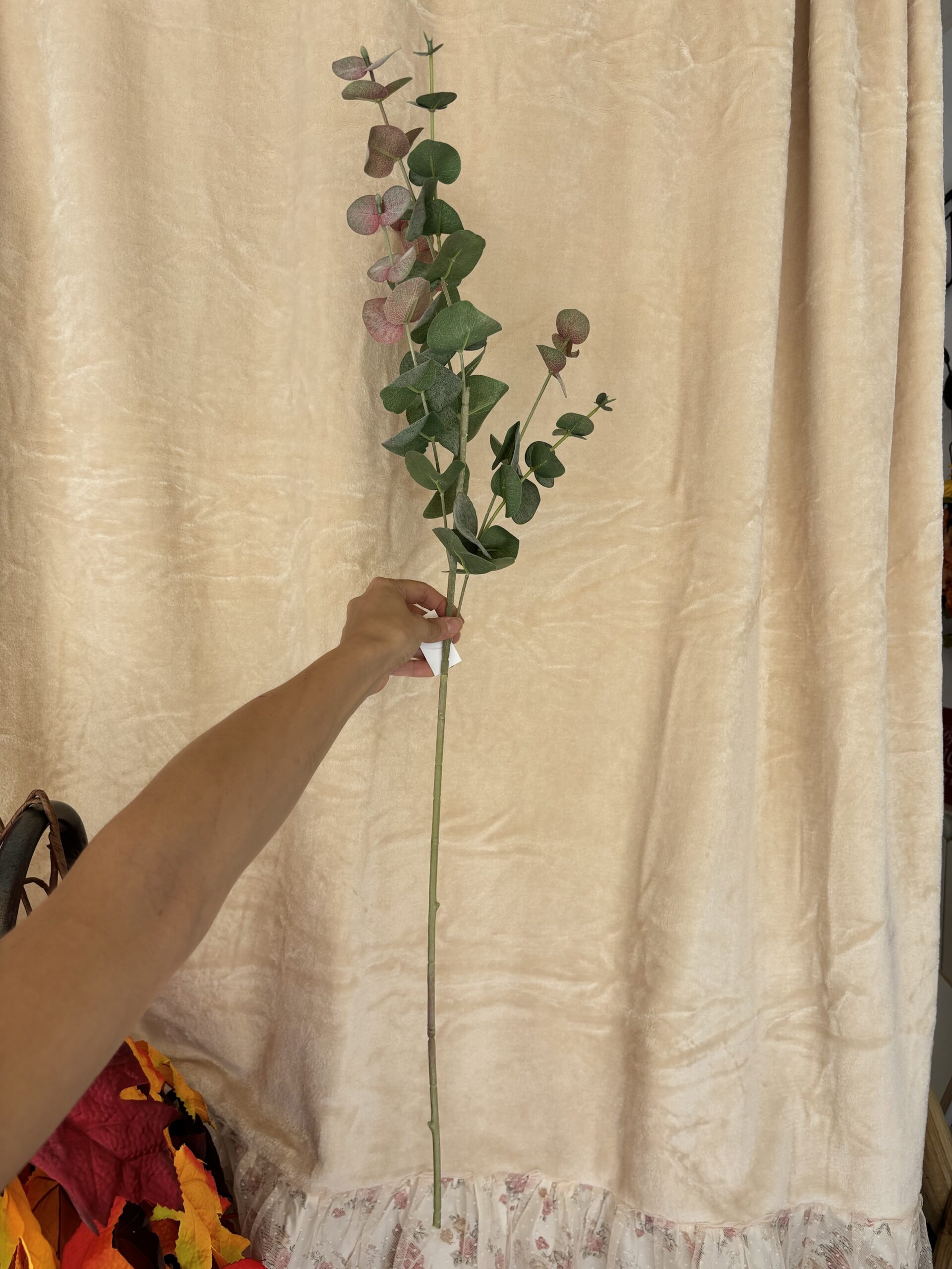 Eucalipto verde/rosa h87 cm