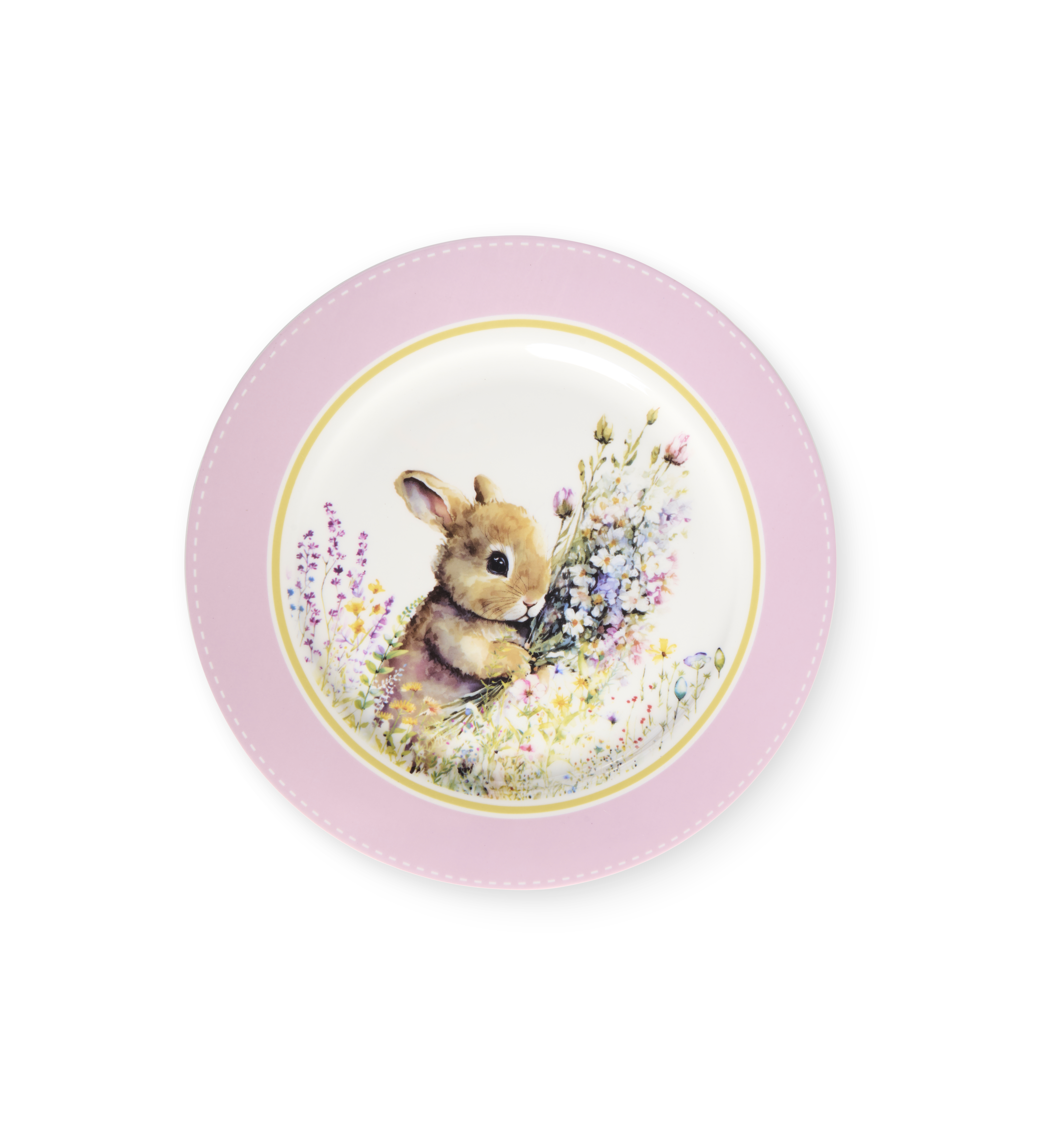 Piatto con paletta torta dorothy
