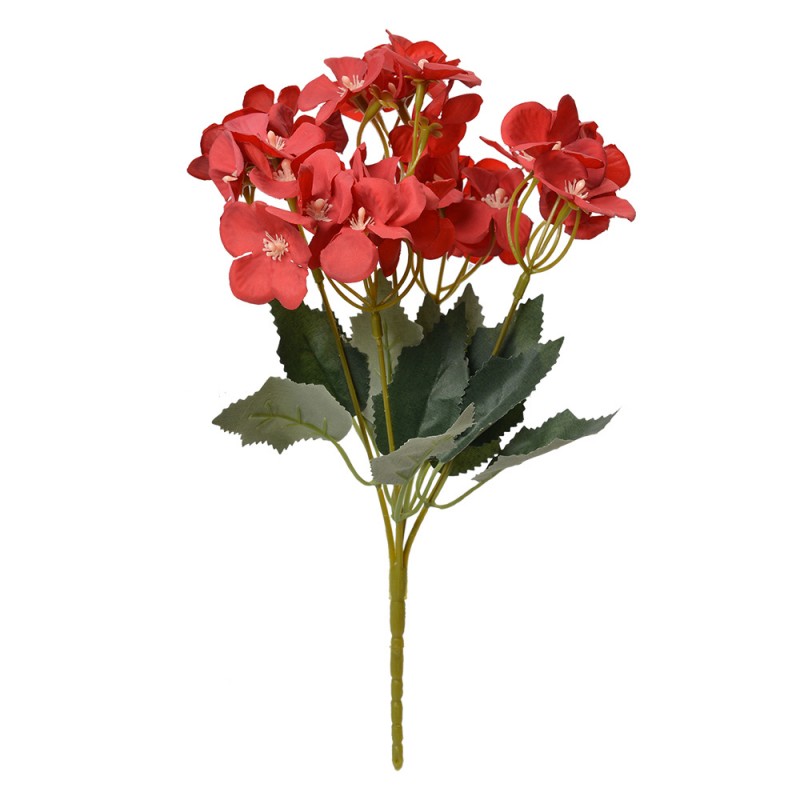 ortensie rosse