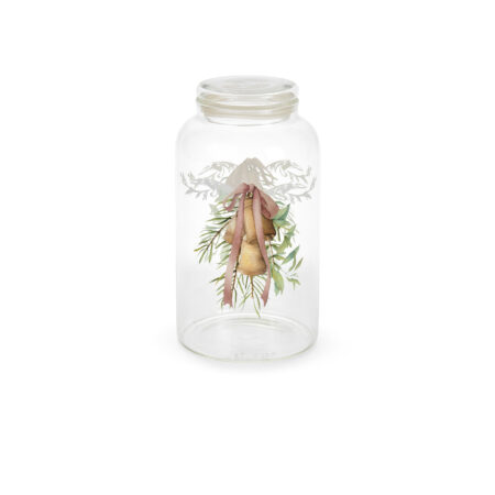 Barattolo grande darling con scatola regalo