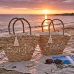 Borsa bonjour/hello
