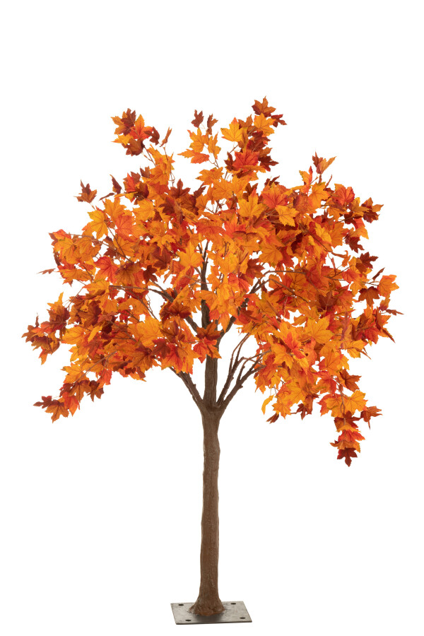 albero autunnale