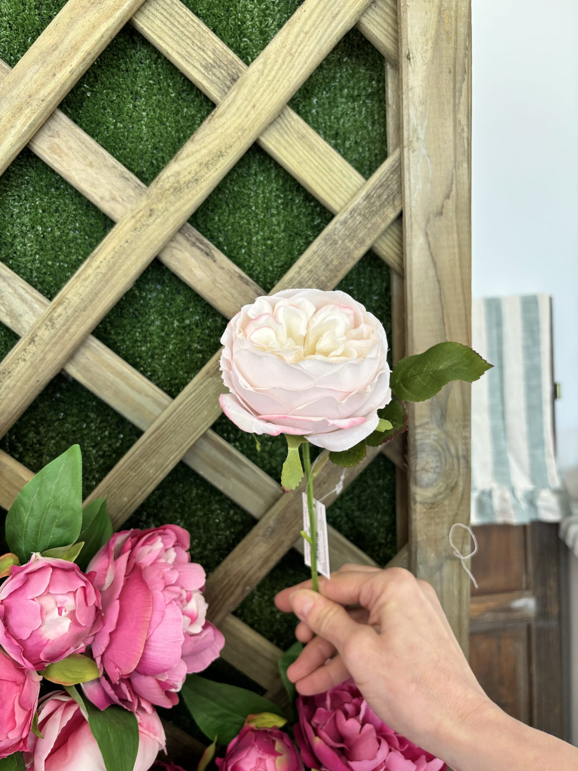 Rosa rosa H23 cm