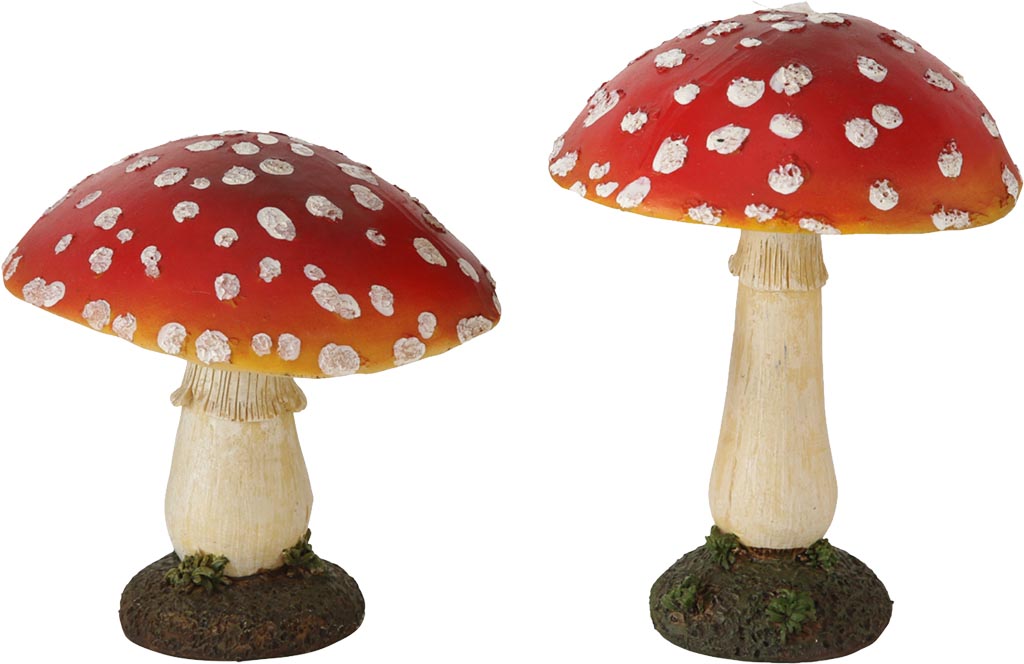 Fungo amanita