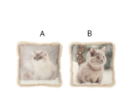 CUSCINO GATTO