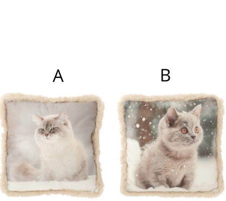 CUSCINO GATTO