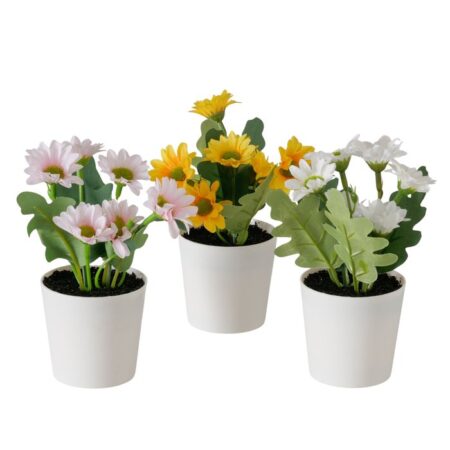 Vaso con margherite rosa/bianco/giallo