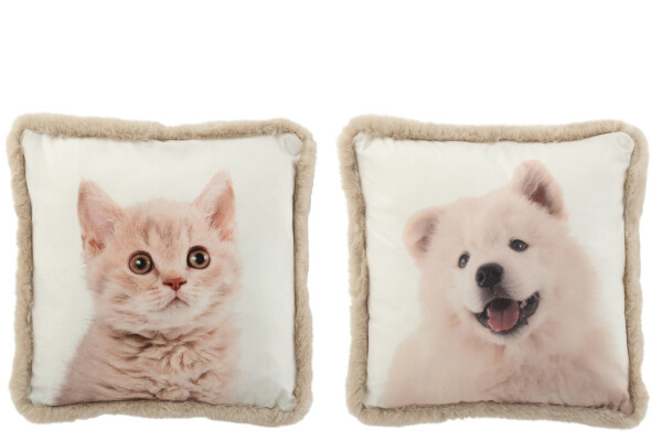 CUSCINO CANE GATTO