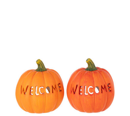 zucca welcome
