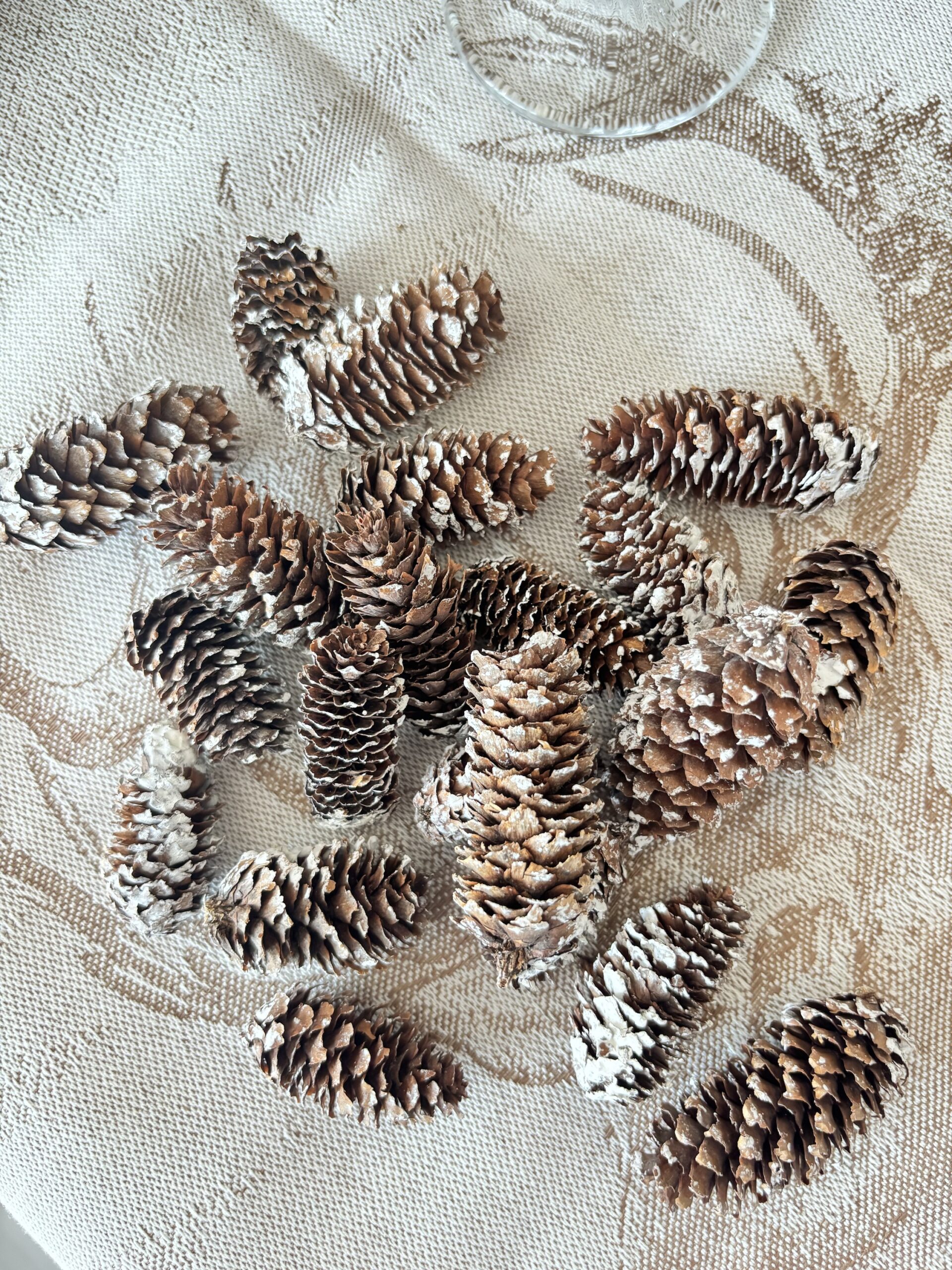 Pigne picea 58 grammi