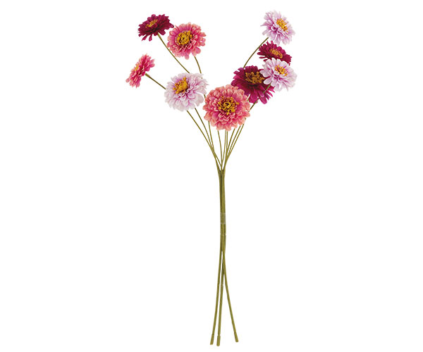 200620S mazzo 9 fiori zinnia rosa/fuxia - immagine 1