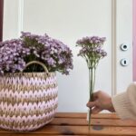 Gypsophina lilla