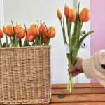 Mazzo tulipani con bocciolo arancione
