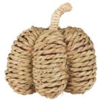 Zucca decorativa - immagine 2