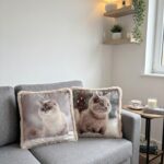 Cuscino gatto