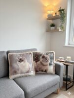 Cuscino gatto
